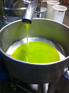 Key Ingredient Series: Extra Virgin Olive Oil February 28, 2024 6:15pm